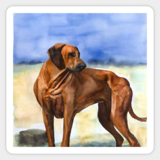 Rhodesian Ridgeback Watercolor Painting - Dog Lover Gifts Sticker